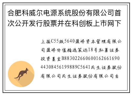 合肥科威尔电源系统股份有限公司首次公开发行股票并在科创板上市网下初步配售结果及网上中签结果公告(上接C55版)
